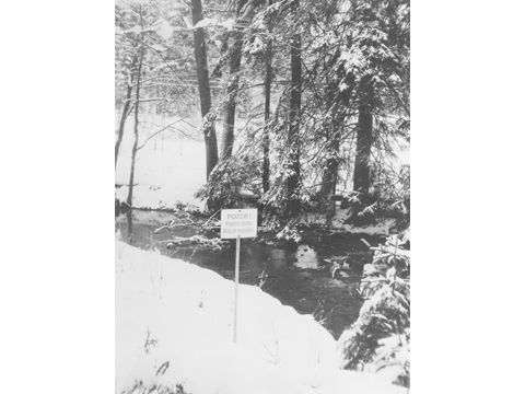 Foto 21